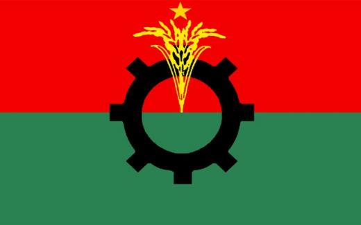 bnp-flag-logo.jpg