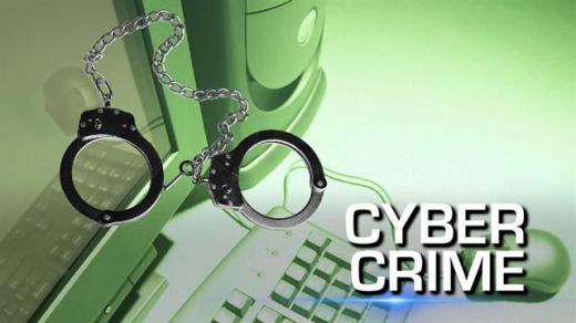 cyber-crime-bill-pakistan-anusha-rehman.jpg