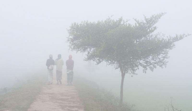 ছবি সংগৃহীত