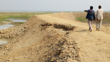 মধ্যনগরে ফসল রক্ষা বাঁধের কাজে নানান অনিয়ম