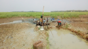 মধ্যনগরে জলসায় সেঁচে চলছে মাছ ধরার মহোৎসব