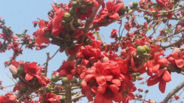 বঙ্গ-নিউজঃ ইতিহাসের এই দিনে