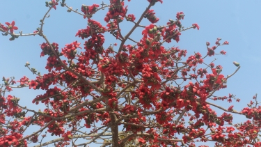 বঙ্গ-নিউজঃ ইতিহাসের এই দিনে