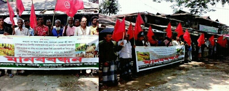 মধ্যনগরে কৃষকদের জীবনমান উন্নয়নে মানববন্ধন