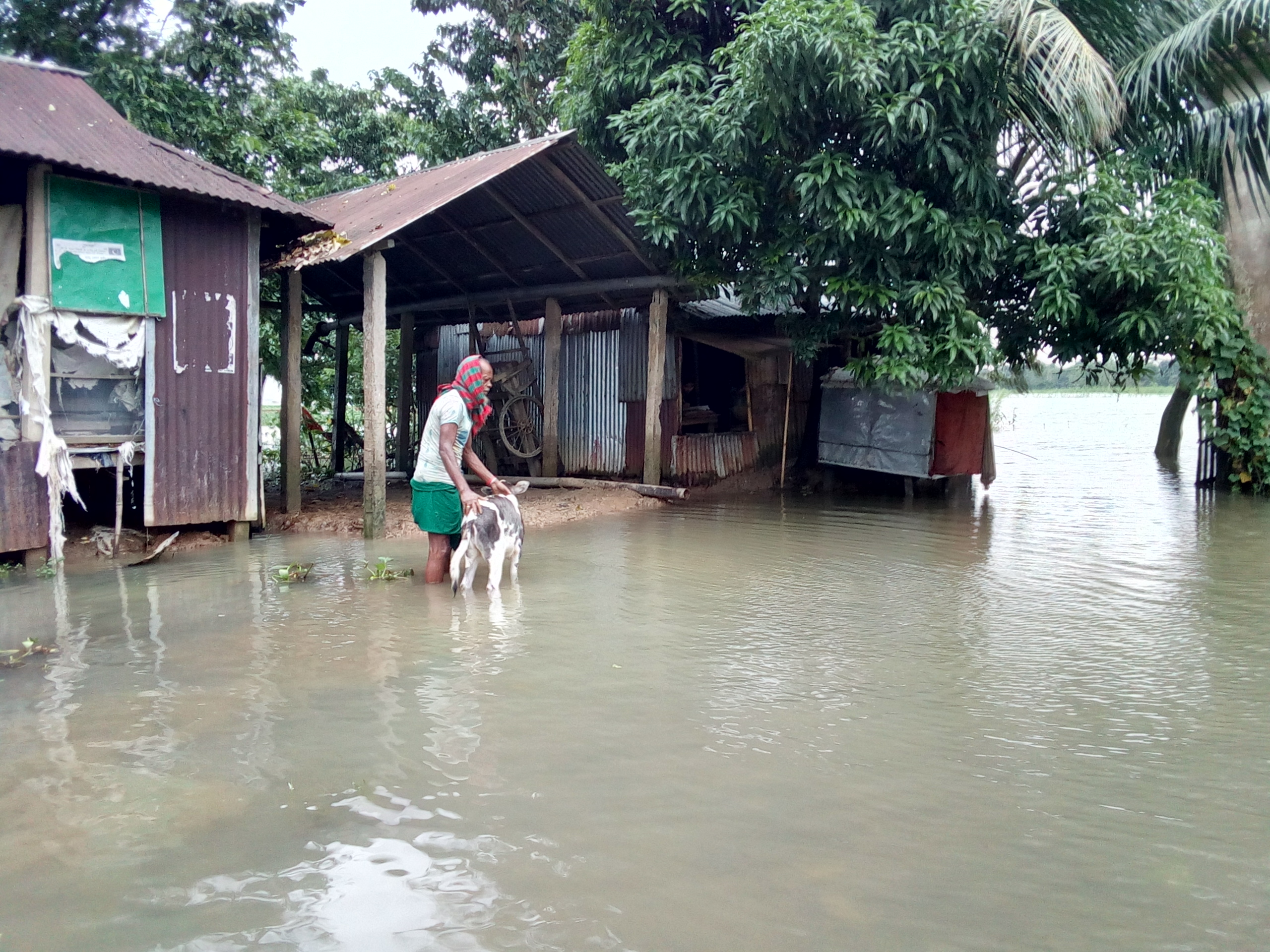 মধ্যনগরে বনঅ পরিস্থিতি