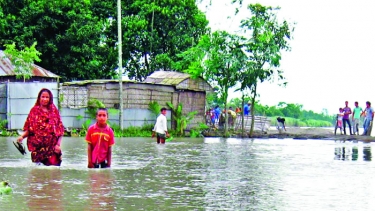 রংপুর কুড়িগ্রাম সুনামগঞ্জে প্লাবিত অর্ধশতাধিক গ্রাম,বিভিন্ন নদনদীর পানি বেড়েছে