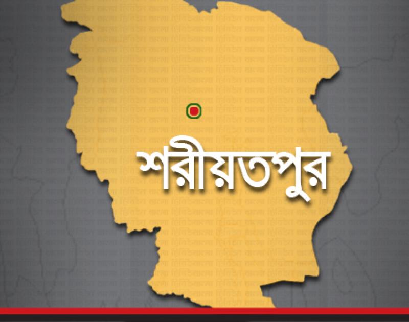 ফাইল ছবি