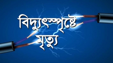 কুষ্টিয়ার ভেড়ামারায় বিদ্যুৎস্পৃষ্টে একজনের মৃত্যু