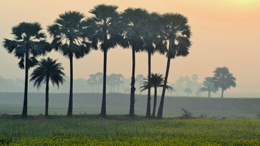 আমার দেশের শেষ কোথায়?-ফাতেমা হক মুক্তা