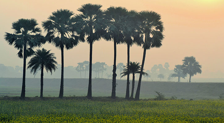 আমার দেশের শেষ কোথায়?