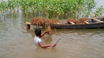 হাওরে ভালো নেই ফসলহারা কৃষকেরা