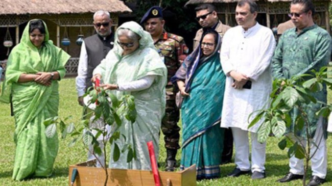 বৃক্ষ রোপন উদ্বোধন করছেন প্রধানমন্ত্রী শেখ হাসিনা