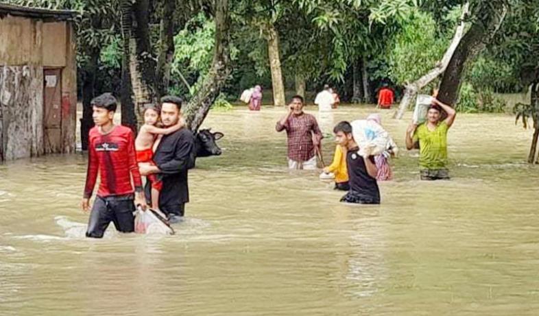 ফাইল ছবি