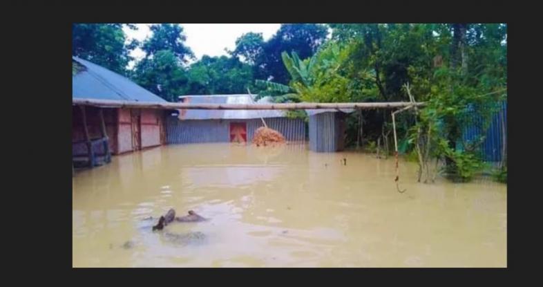 ফেনির ভয়াবহ বন্যা